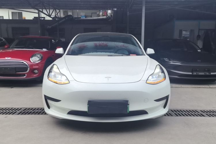 Tesla Model 3 2021 #3 Tesla Model 3 2021 car image #3