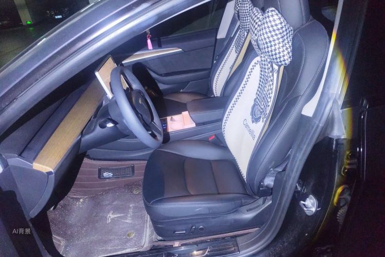 Tesla Model 3 2023 #17 Tesla Model 3 2023 car image #17