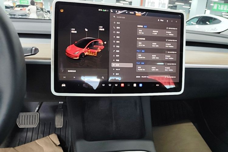 Tesla Model 3 2023 car image #13