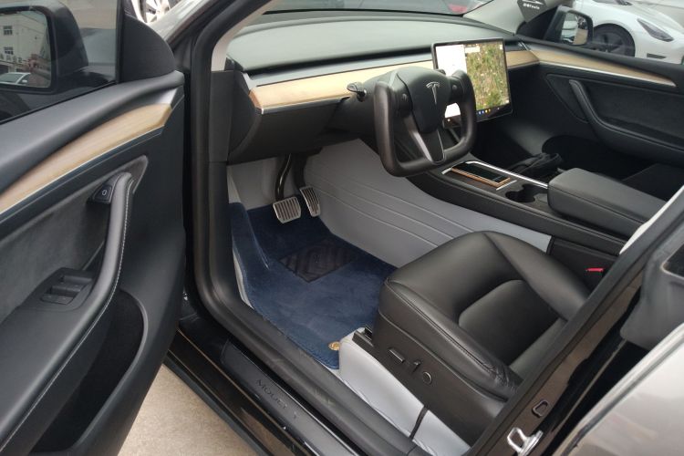Tesla Model Y 2021 car image #16