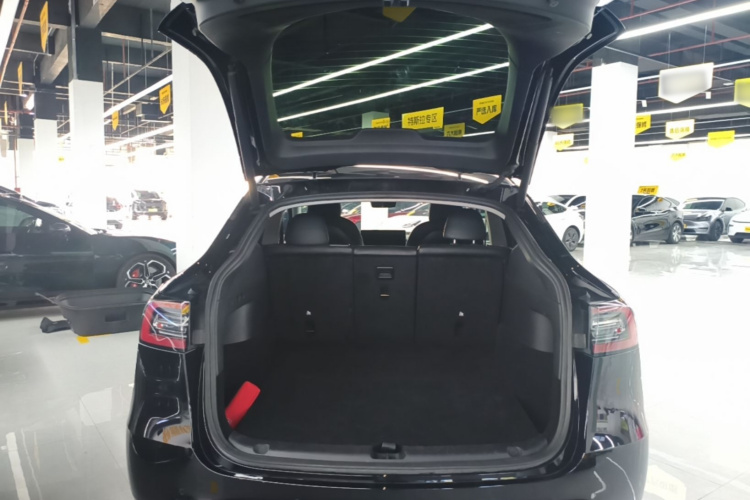 Tesla Model Y 2022 car image #19