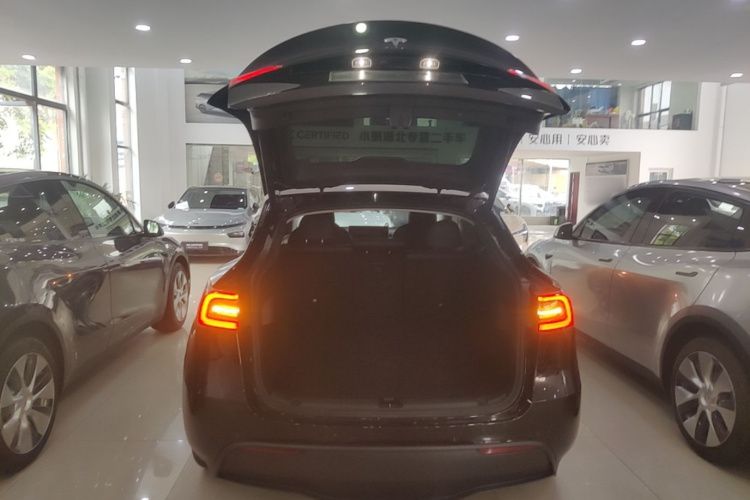 Tesla Model Y 2021 #19 Tesla Model Y 2021 car image #19