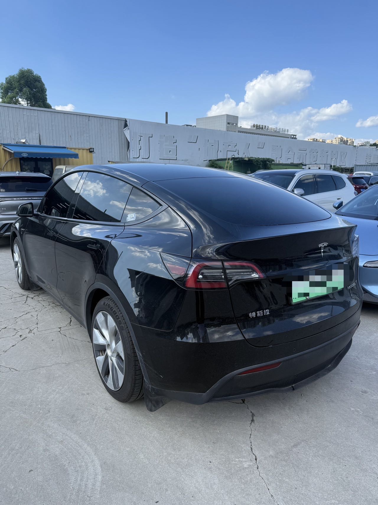 Tesla Model Y 2023 #7 Tesla Model Y 2023 car image #7