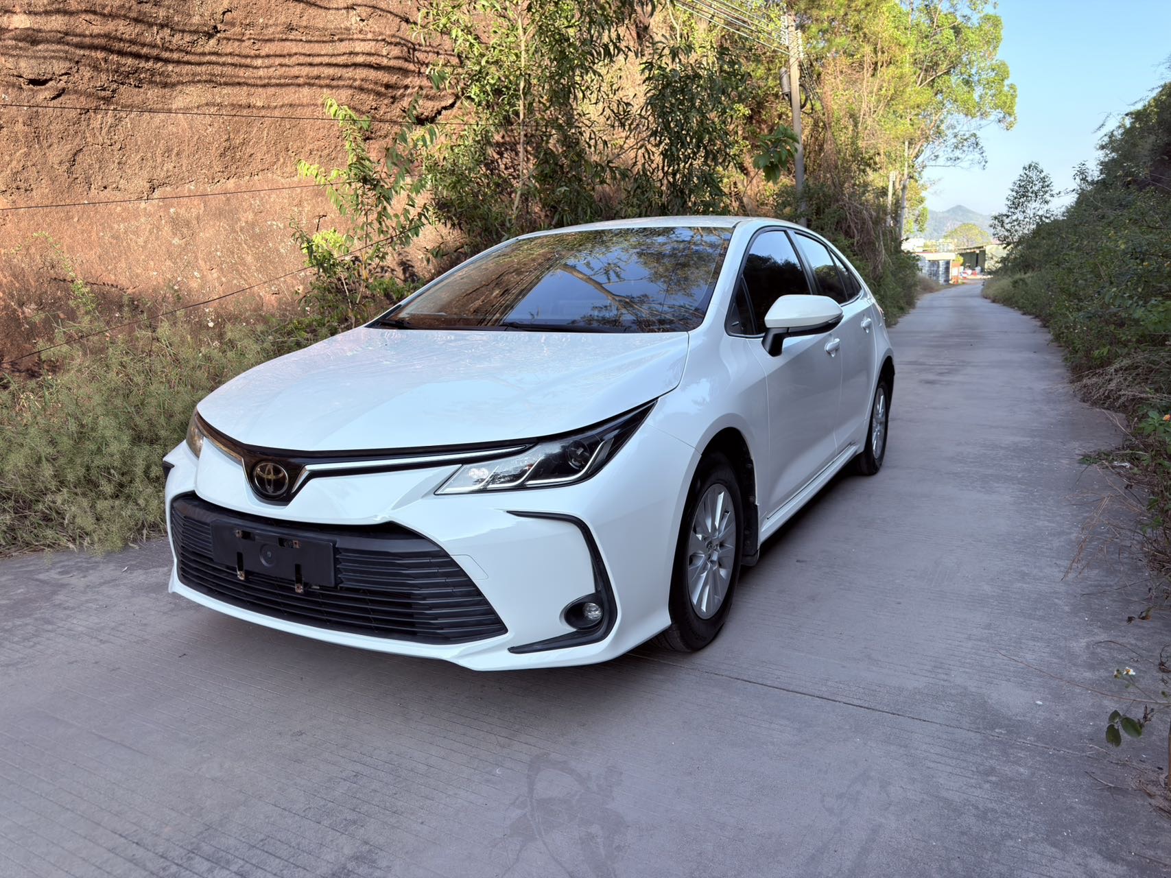 Toyota Corolla 2020 Toyota Corolla 2020 car image