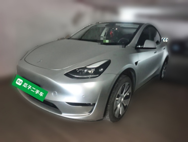 Tesla Model Y 2022 car image 