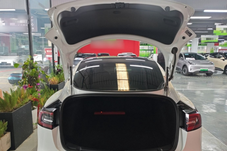 Tesla Model 3 2020 #19 Tesla Model 3 2020 immagine di auto #19