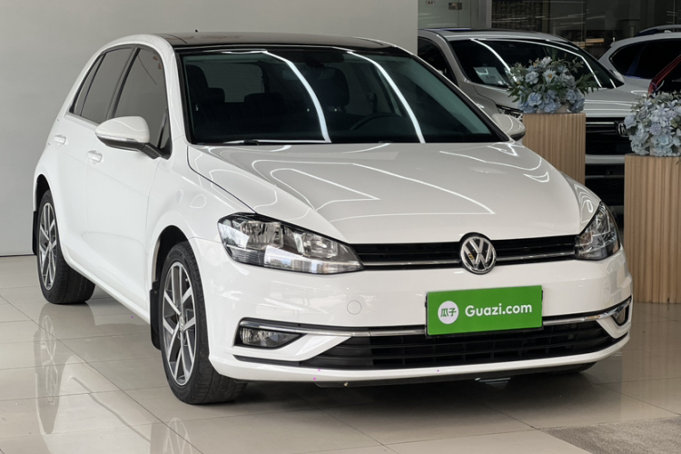 Volkswagen Golf 2019 car image #5