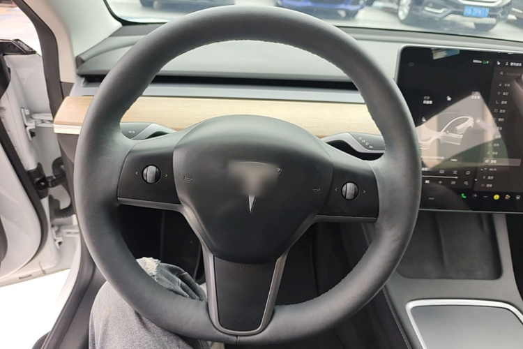 Tesla Model 3 2021 #15 Tesla Model 3 2021 car image #15