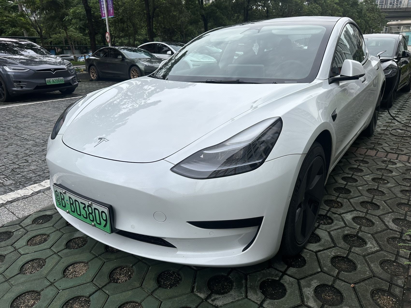 Tesla Model 3 2022 Tesla Model 3 2022 car image