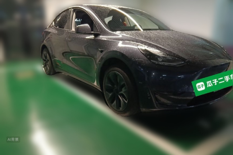 Tesla Model Y 2024 car image #4