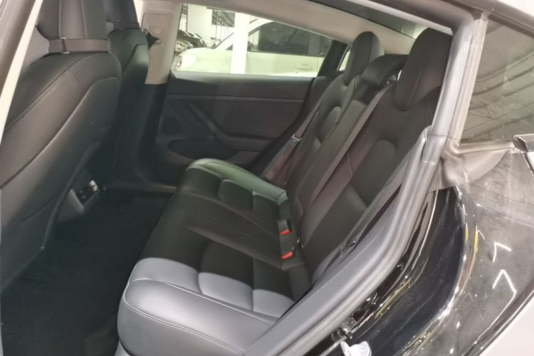 Tesla Model 3 2021 car image #17