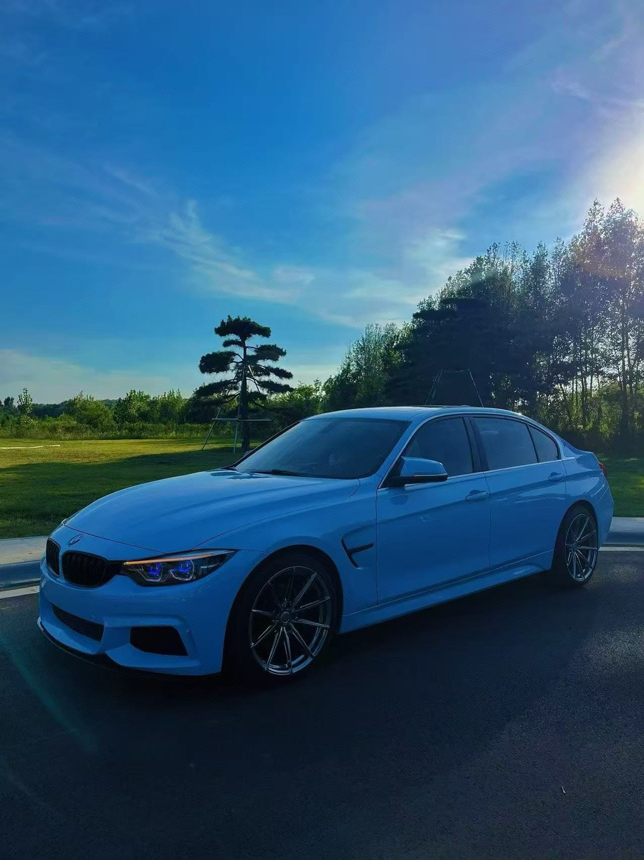 BMW 3 Series 2017 BMW 3 Series 2017 image de voiture