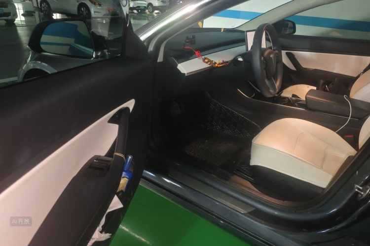 Tesla Model 3 2020 immagine di auto #18