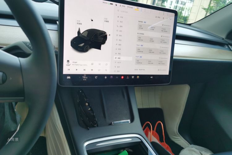 Tesla Model Y 2021 car image #15