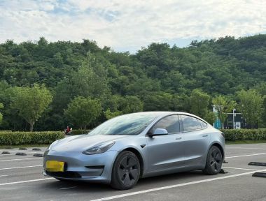 Tesla Model 3 2022 Tesla Model 3 2022 car image