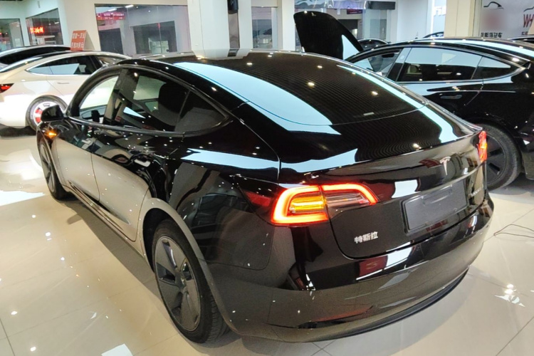Tesla Model 3 2022 car image #7