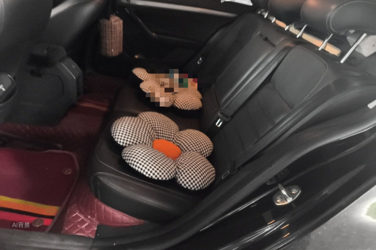 Volkswagen Lavida 2017 car image #19