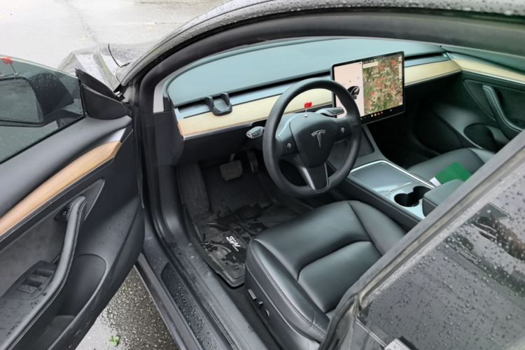 Tesla Model 3 2021 car image #12