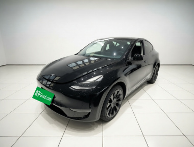 Tesla Model Y 2021 Tesla Model Y 2021 car image