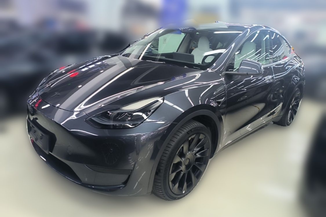 Tesla Model Y 2024 Tesla Model Y 2024 car image