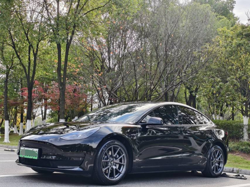 Tesla Model 3 2022 car image 