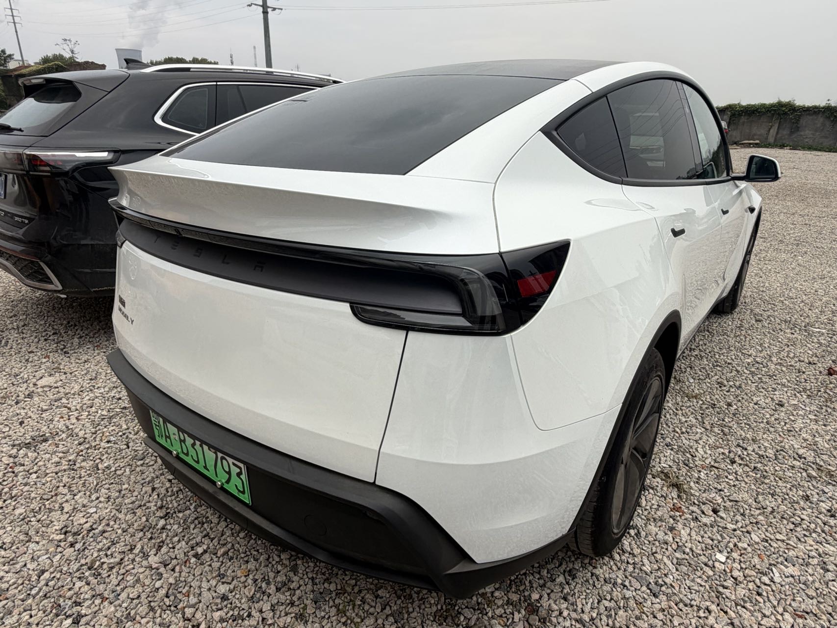 Tesla Model Y 2025 #8 Tesla Model Y 2025 صورة سيارة #8