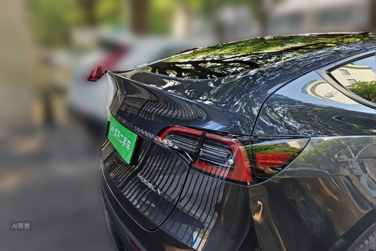 Tesla Model Y 2024 car image #6