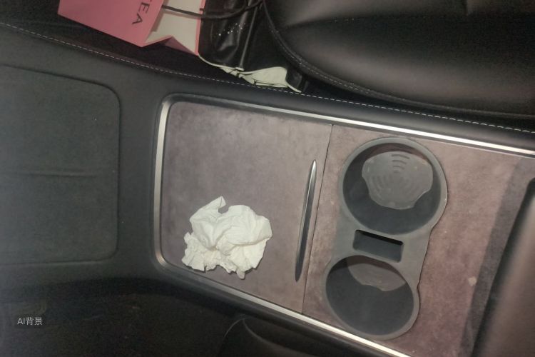 Tesla Model 3 2023 car image #10
