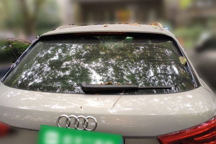 Audi Q3 2015 #4 Audi Q3 2015 immagine di auto #4