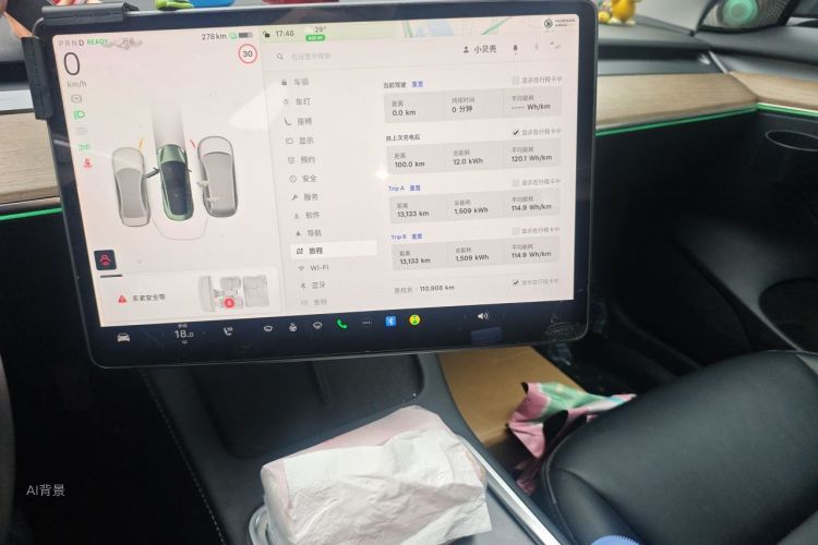 Tesla Model 3 2021 car image #15