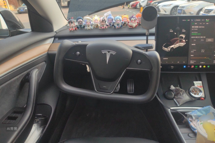 Tesla Model 3 2021 #12 Tesla Model 3 2021 car image #12