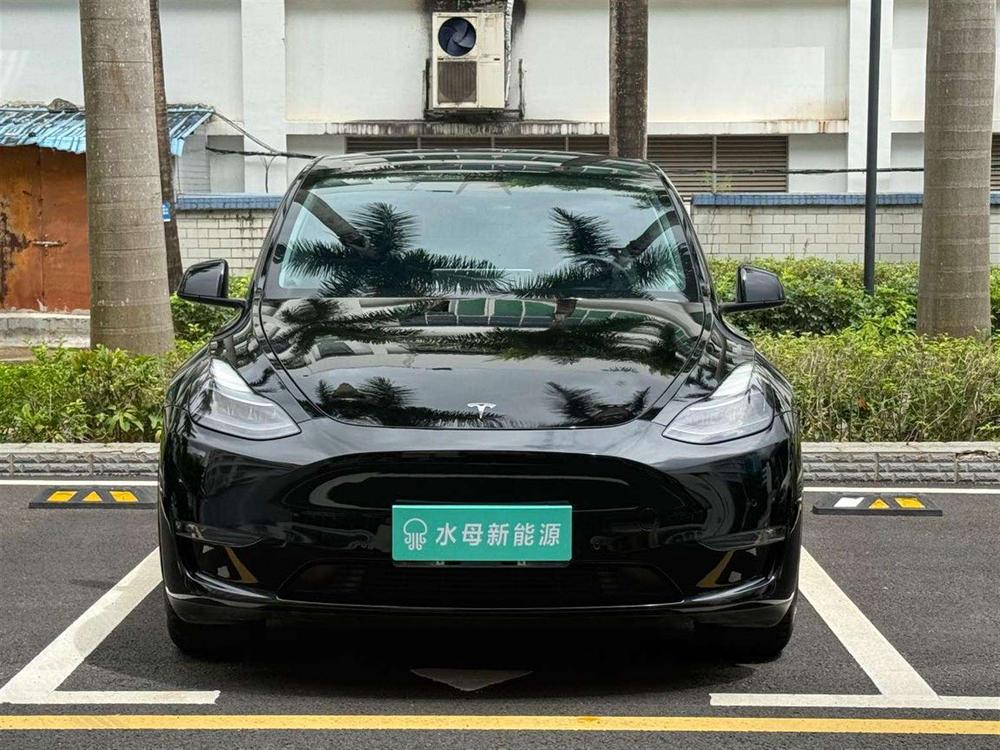 Tesla Model Y 2021 car image #2
