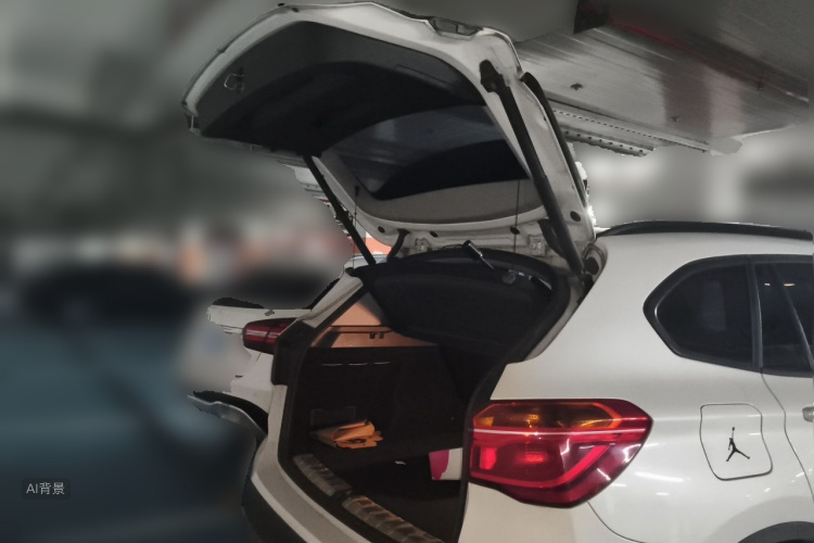 BMW X1 2017 car image #21