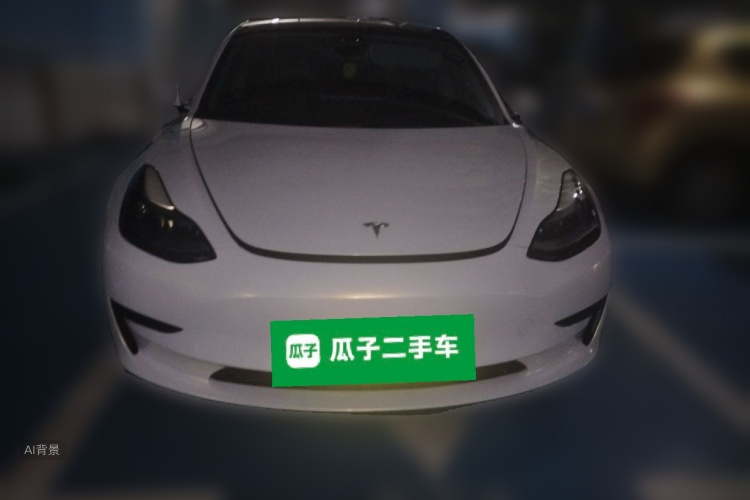 Tesla Model 3 2022 #3 Tesla Model 3 2022 car image #3