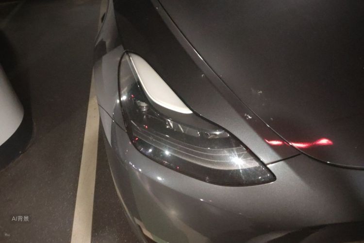 Tesla Model Y 2021 immagine di auto #8