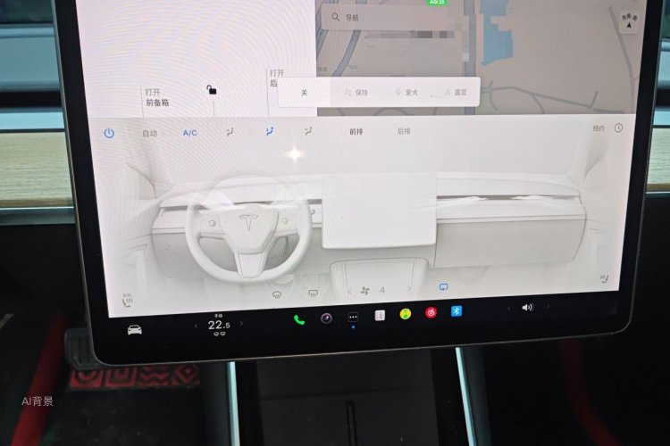 Tesla Model 3 2020 car image #15