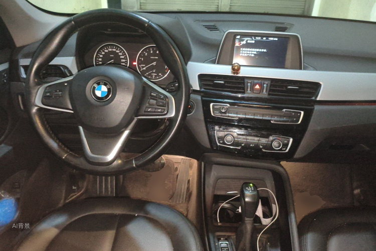 BMW X1 2017 car image #11