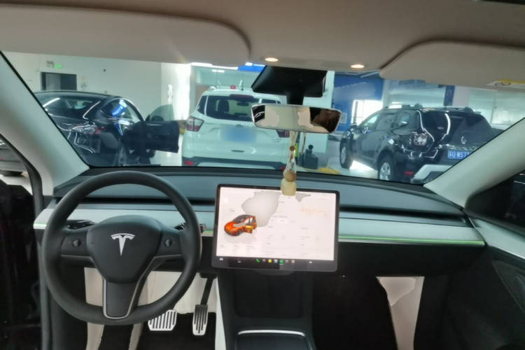 Tesla Model Y 2023 #10 Tesla Model Y 2023 car image #10