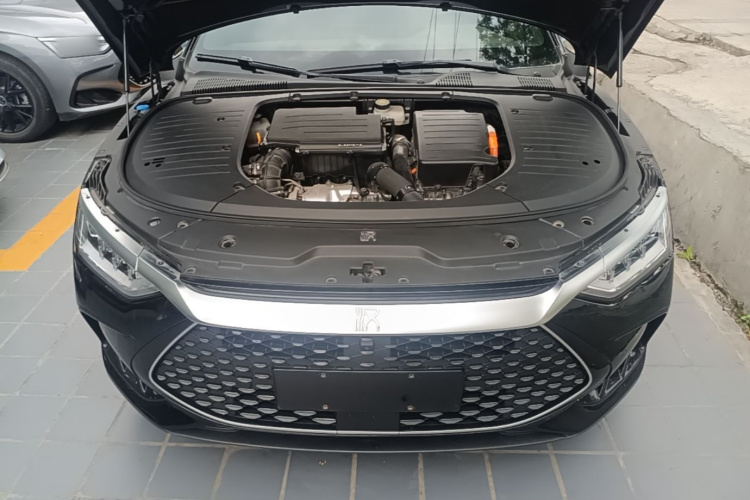 BYD Han 2024 car image #20