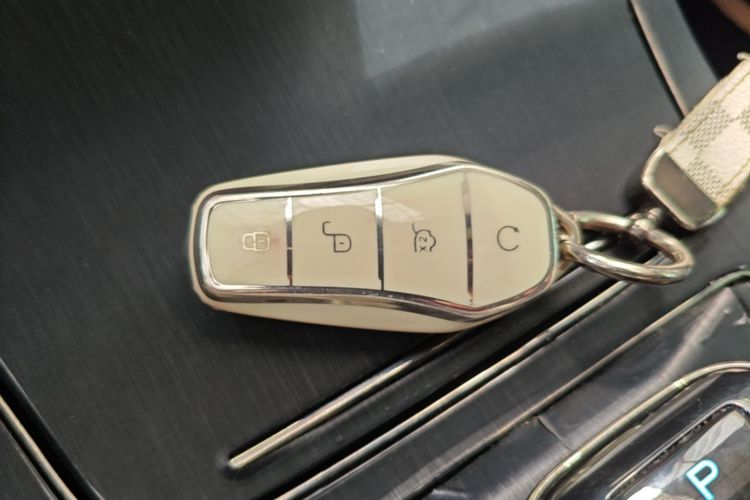 BYD Han 2023 #9 BYD Han 2023 immagine di auto #9