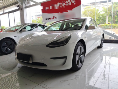 Tesla Model 3 2020 Tesla Model 3 2020 car image