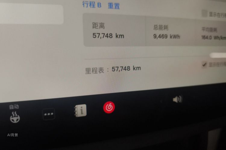 Tesla Model Y 2024 car image #14