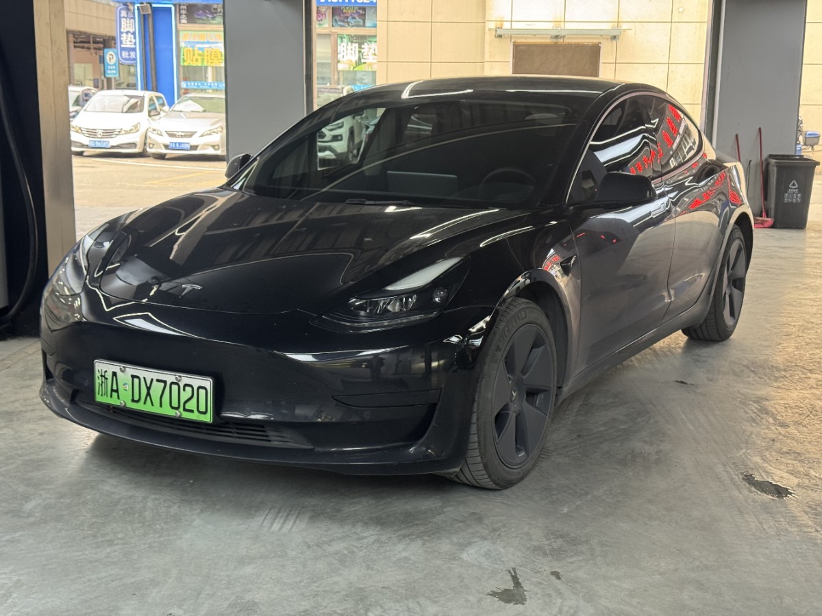 Tesla Model 3 2021 car image 