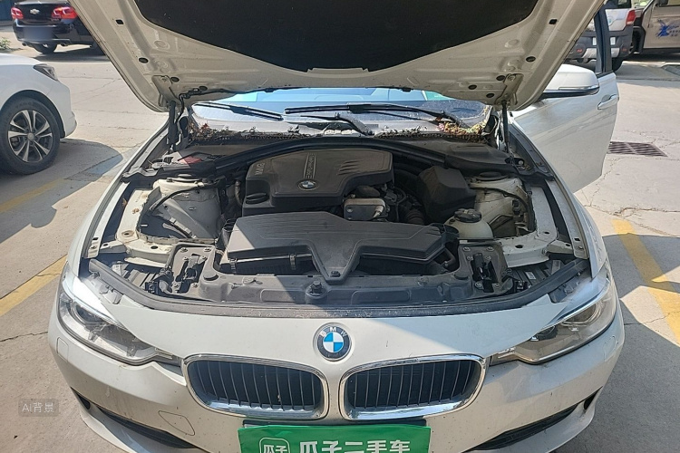 BMW 3 Series 2014 car image #22