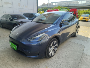 Tesla Model Y 2021 Tesla Model Y 2021 car image