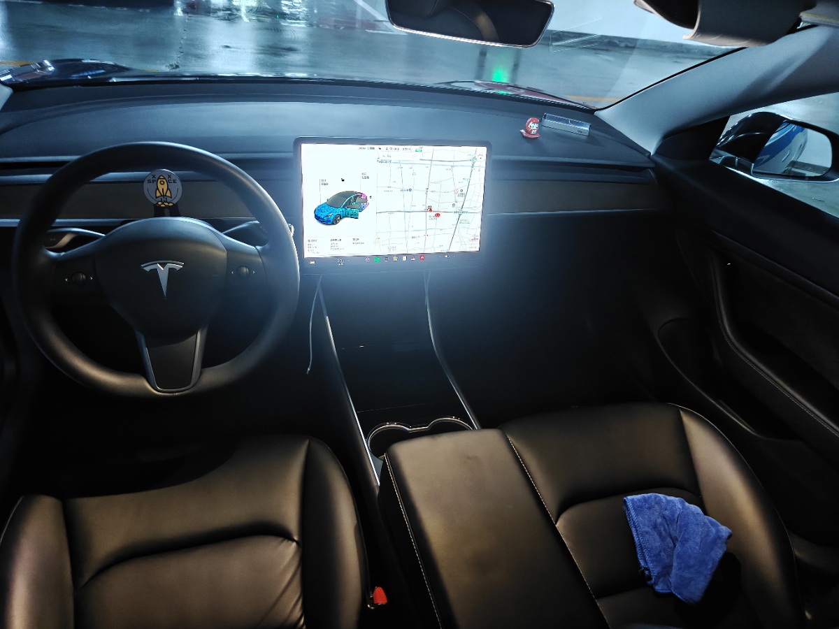 Tesla Model 3 2020 #3 Tesla Model 3 2020 car image #3