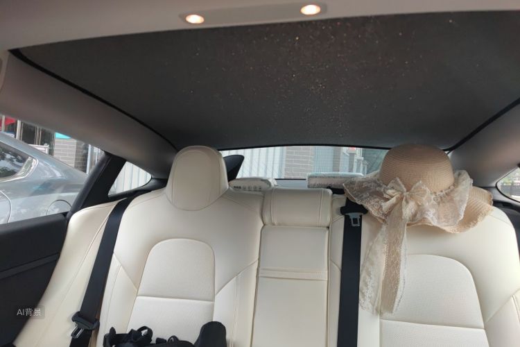 Tesla Model 3 2020 #20 Tesla Model 3 2020 car image #20
