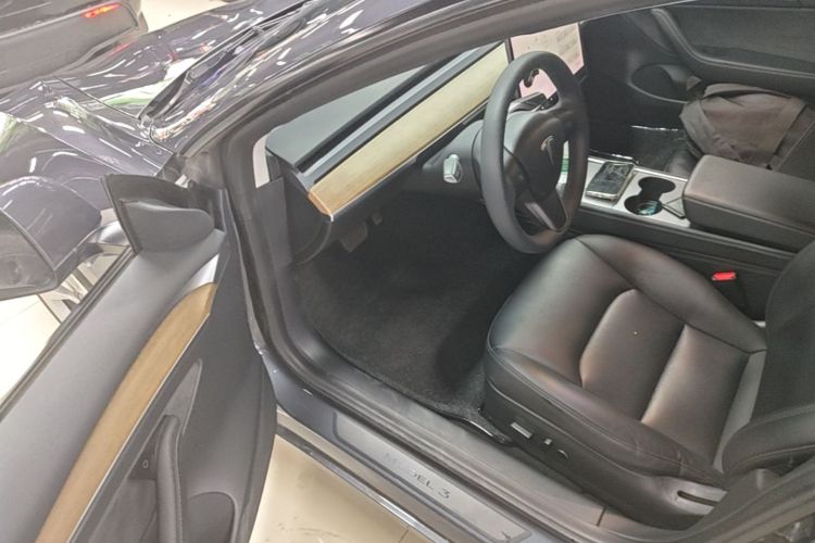 Tesla Model 3 2021 car image #16