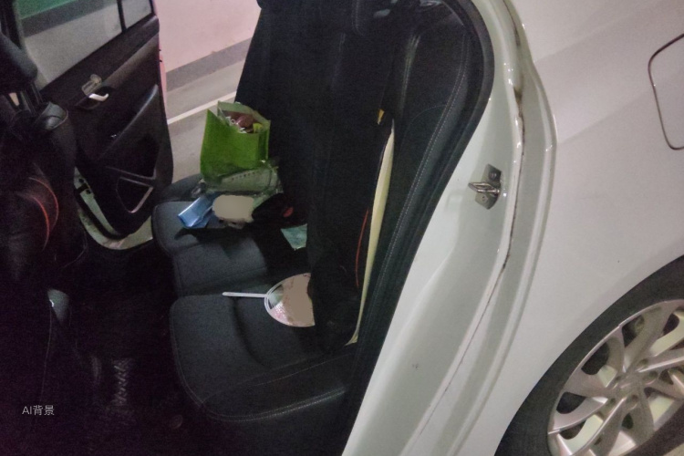 GEELY Emgrand 2021 car image #19