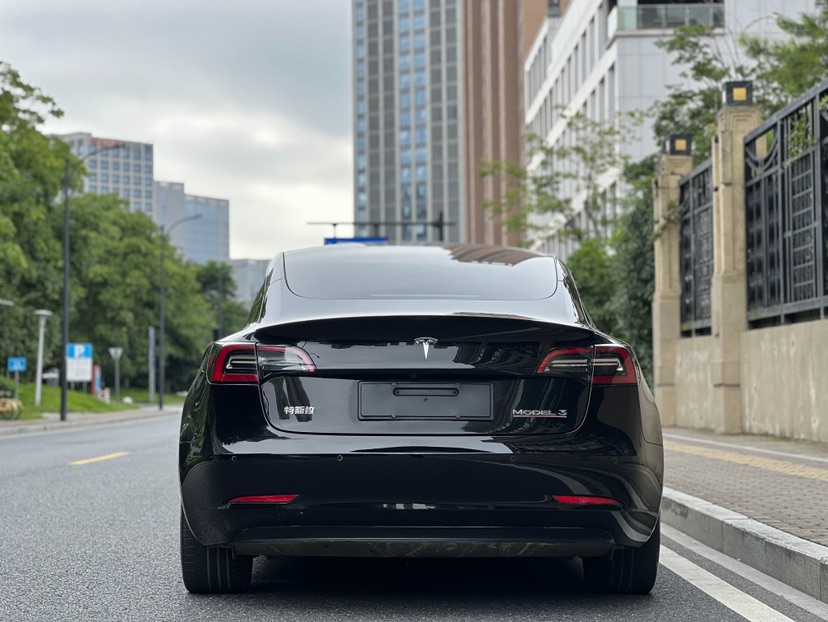 Tesla Model 3 2021 #5 Tesla Model 3 2021 car image #5